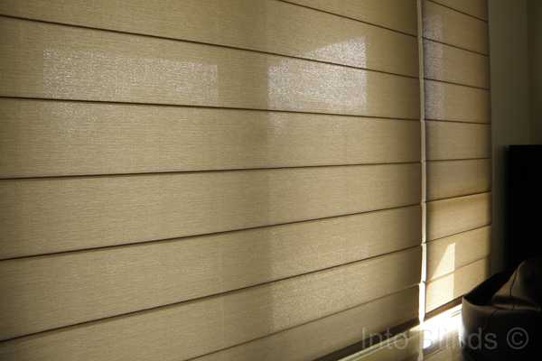 Roman Blinds Translucent Online